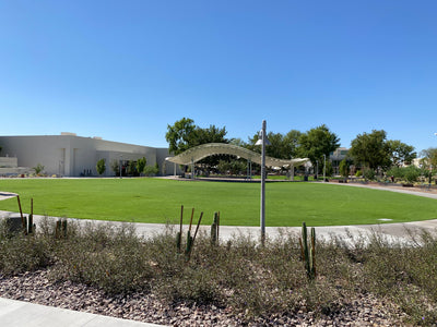 Vikara Spring Fling- Yoga at the Scottsdale Civic Center Park: March 16th Early Bird Ticket